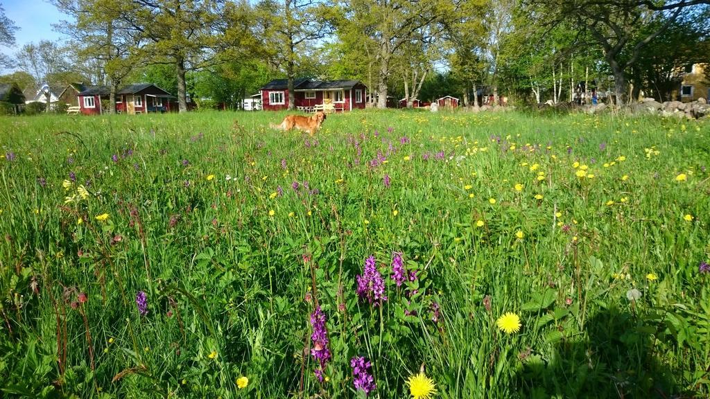 Stf Hagaby/Lantgarden Hostel Löttorp Kültér fotó