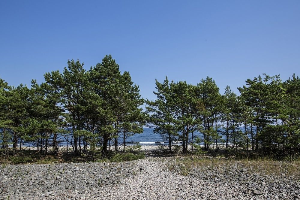 Stf Hagaby/Lantgarden Hostel Löttorp Kültér fotó